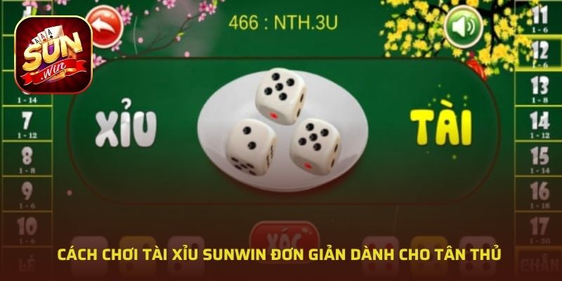 Cách chơi tài xỉu SUNWIN đơn giản dành cho tân thủ
